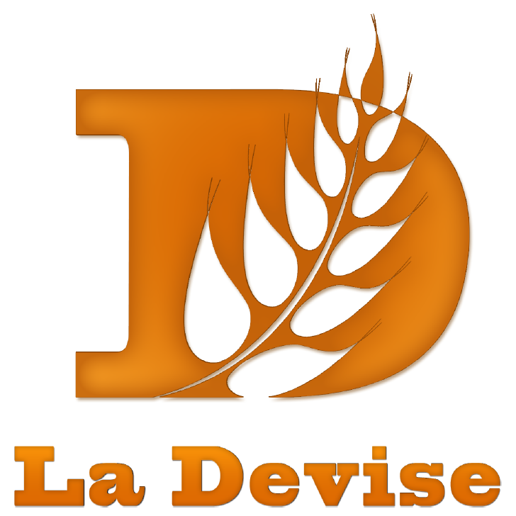 Elections municipales 2020